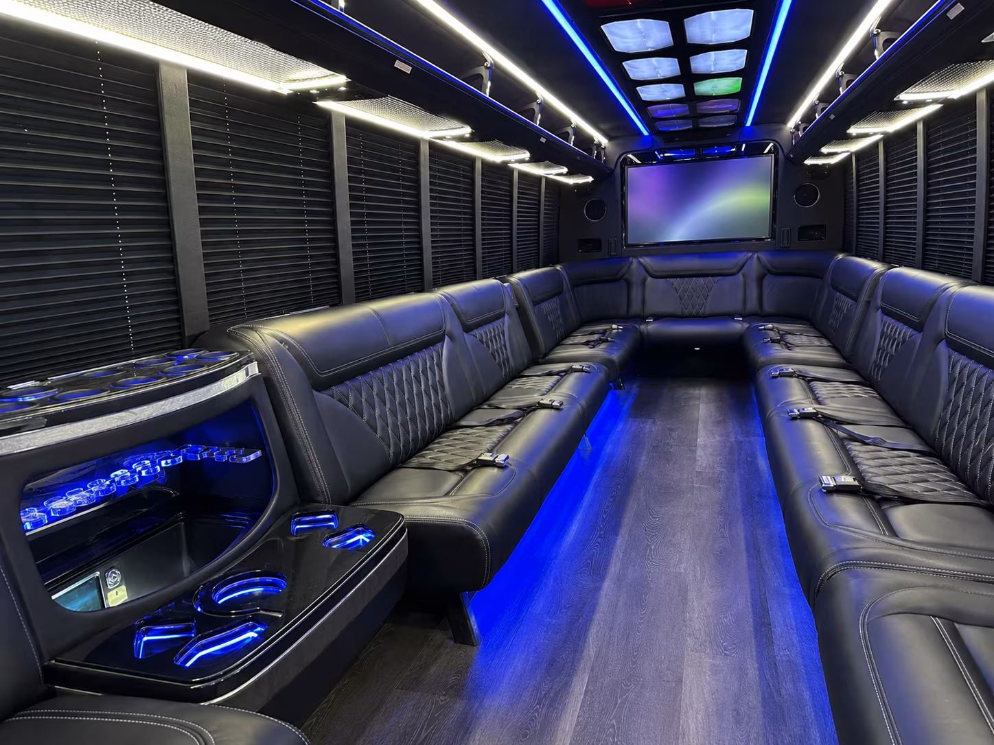 livonia 20 passenger party bus inside