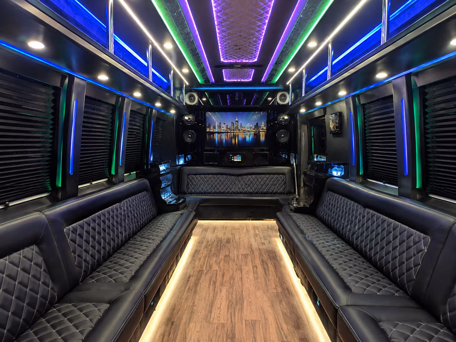 livonia 25 passenger party bus interior
