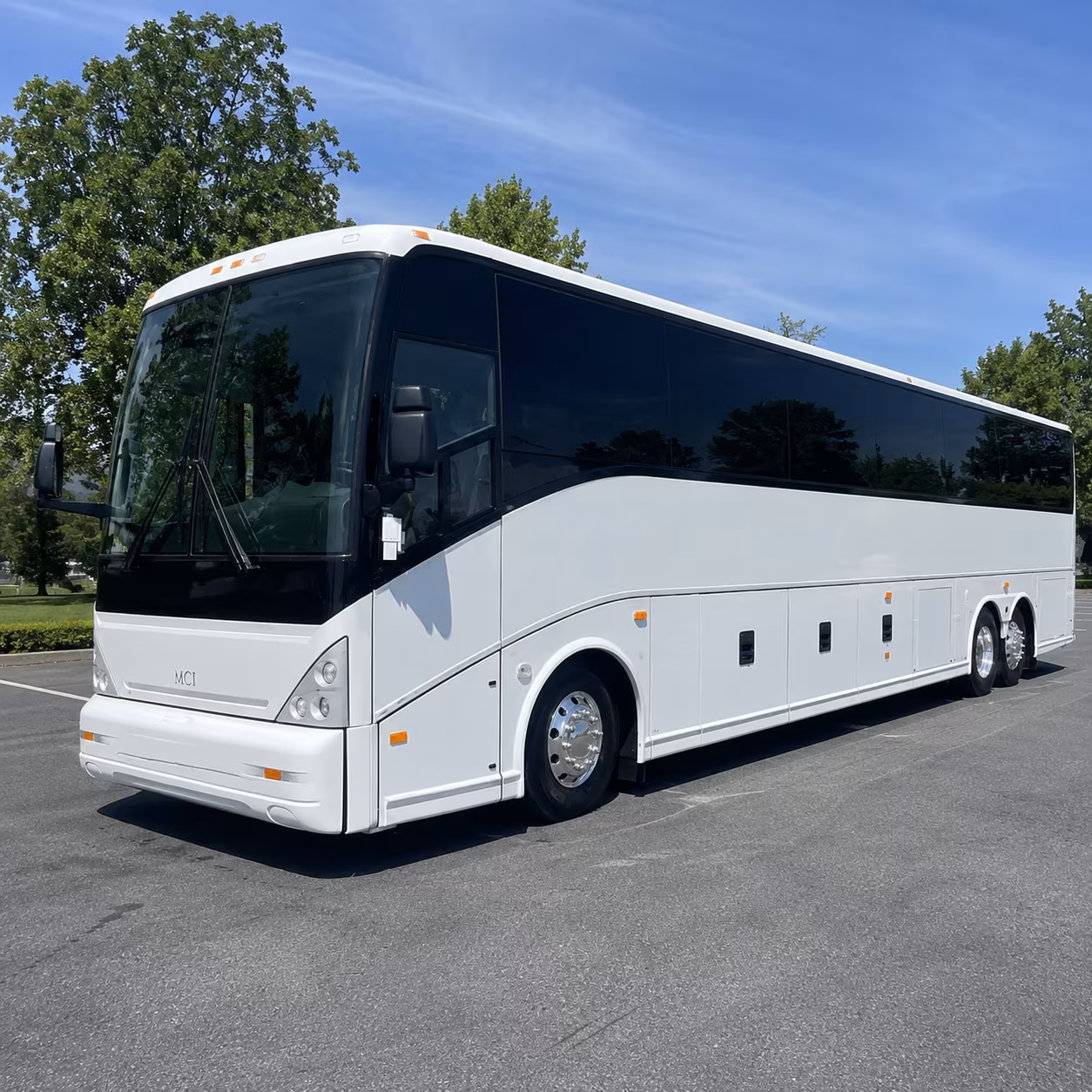 livonia wedding transportation