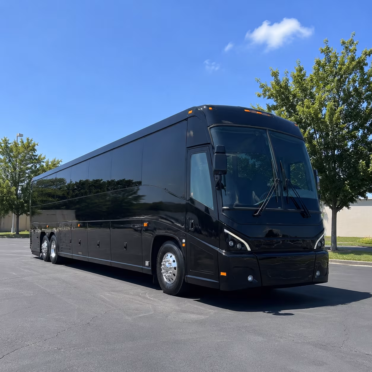 veterans transportation to the john d dingell va medical center and livonia va clinic